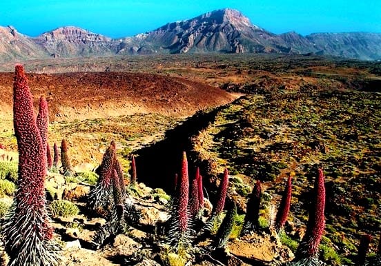 Breathtaking view of Teide National Park