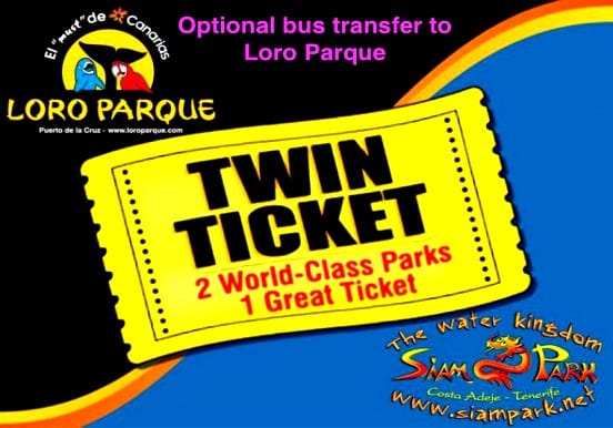 Twin Ticket from the south of Tenerife