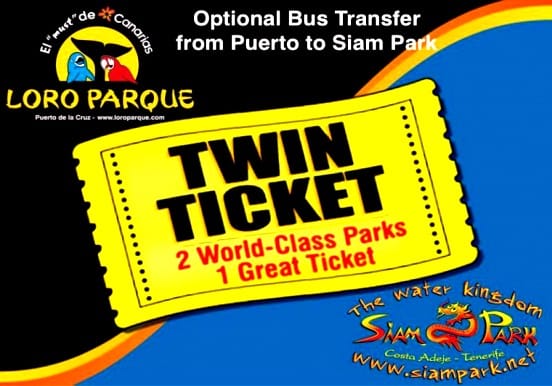 Twin Ticket from Puerto