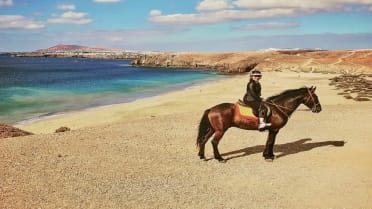 View of Playa Papagayo from horseback in Lanzarote
