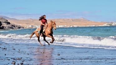 Horse riding Lanzarote beach tour