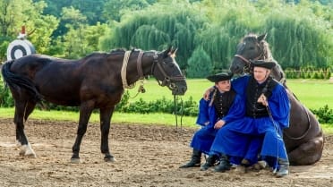 Hungarian horsemen Godollo guided tour