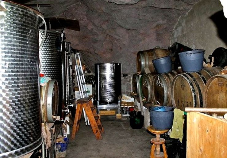 Wine cellar in Anaga mountains