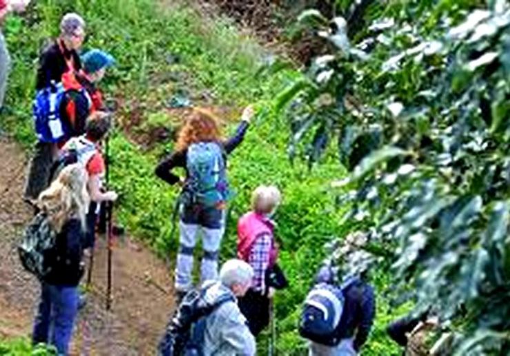 Guided hiking tour in Chinamada