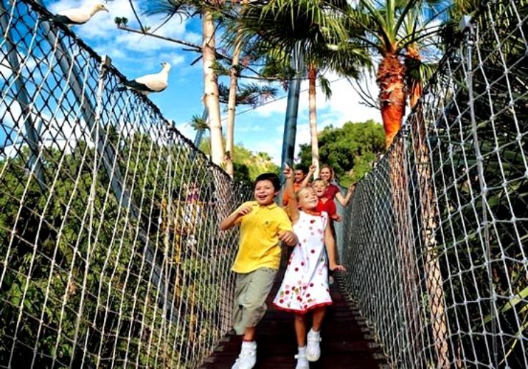 Loro Parque hanging bridge Katandra Treetop