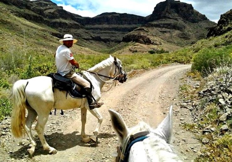 Horse riding in Gran Canaria