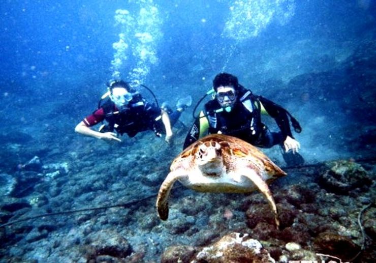 Scuba Diving Taster Tenerife