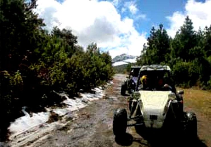 buggy tour in La Palma volcanic route