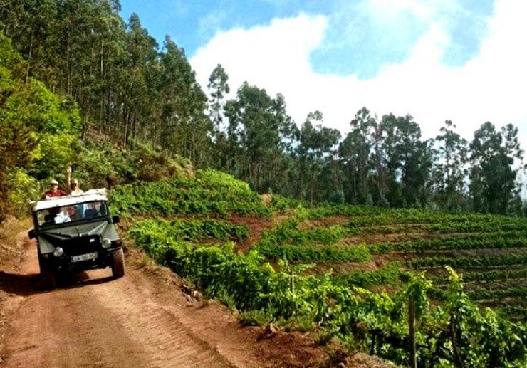 Jeep safari tour in West Madeira