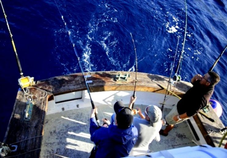 Deep sea fishing Los Gigantes