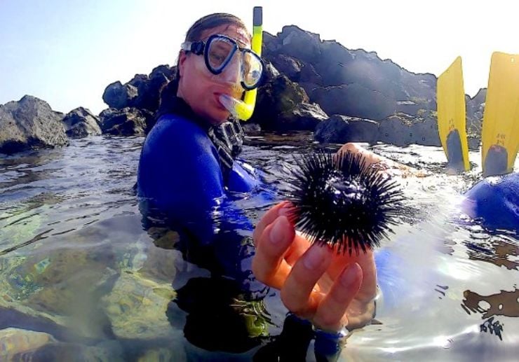 Guided snorkelling tour Lanzarote