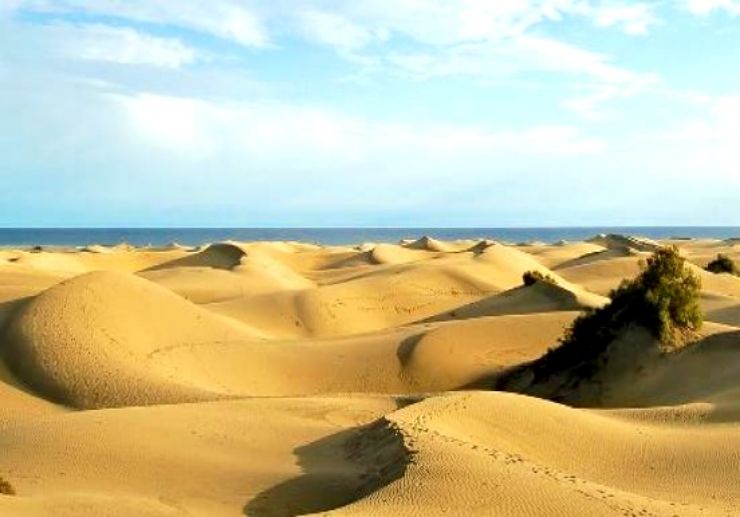 dunas-saharianas-playa