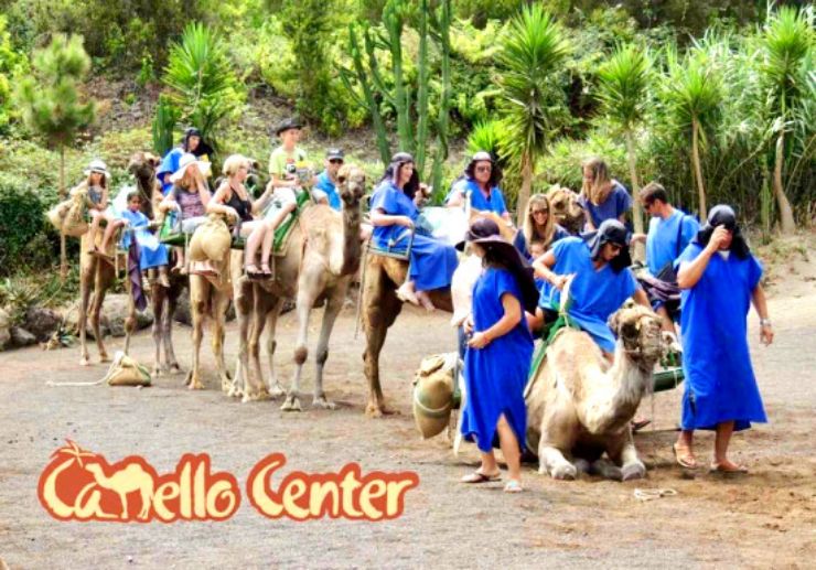 Guests dressed in Arabic costume riding camel at the camel park