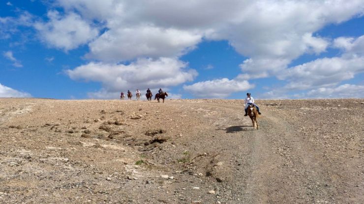 Horse riding tour Lanzarote heartland
