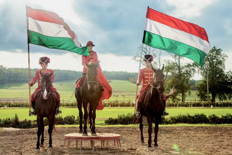 csikos horseshow Godollo tour from Budapest