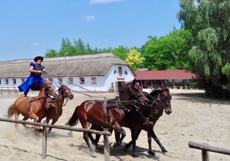 Lajosmizse tour with Hungarian horsemen show