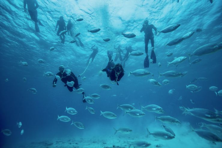 Scuba snorkelling underwater surrounded by fishes
